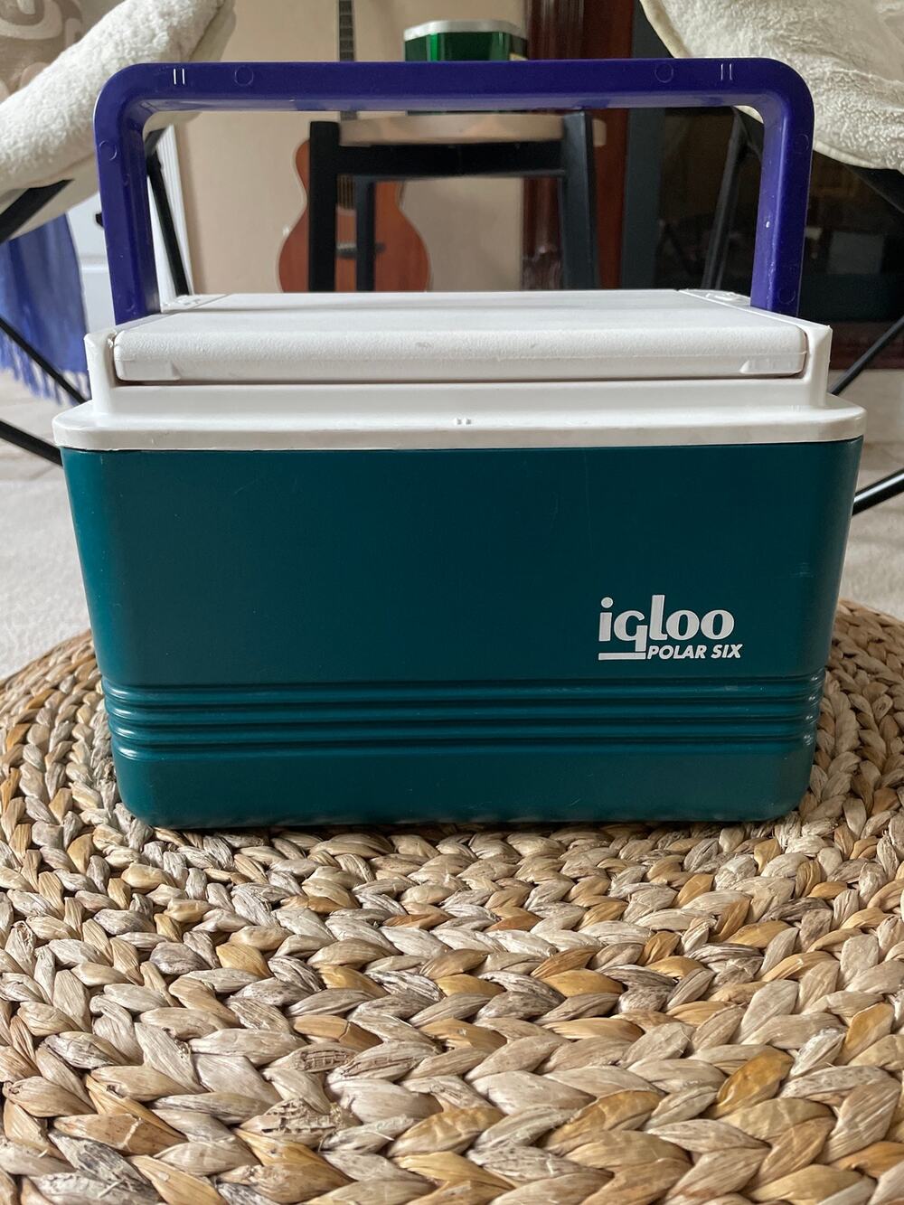 Vintage Igloo Polar Six Cooler Ice Chest Flip Top Turquoise Purple